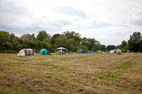 The Meadow