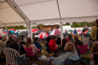 Audience