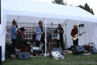 Cadillac Kings