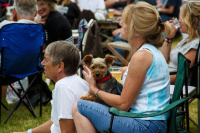 Audience